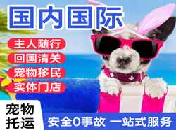 龙嘉航空空运国际宠物托运 【国